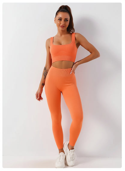 Velvet Berry - Set SweetGrape